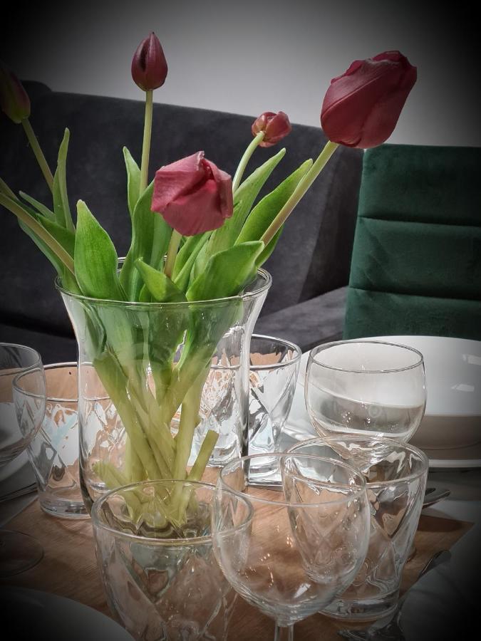 Apartament Nad Klifem W Dziwnowku Dziwnowek Bagian luar foto
