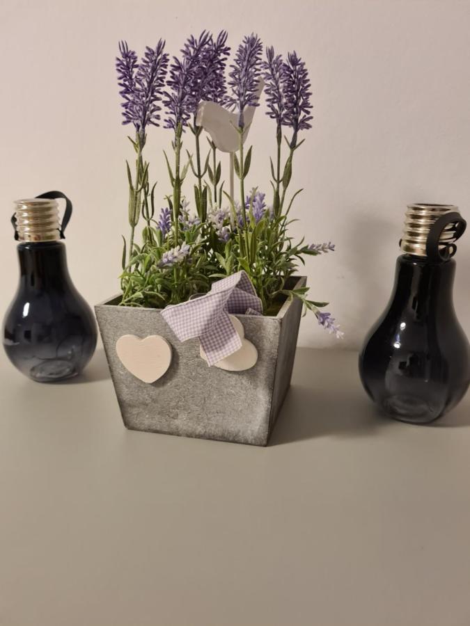 Apartament Nad Klifem W Dziwnowku Dziwnowek Bagian luar foto